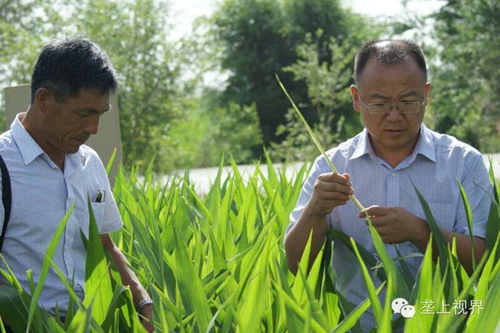 敦煌種業(yè)種子營銷分公司—通過組織黑龍江農(nóng)戶開展體驗(yàn)之旅活動(dòng)進(jìn)一步提升公司的社會(huì)形象